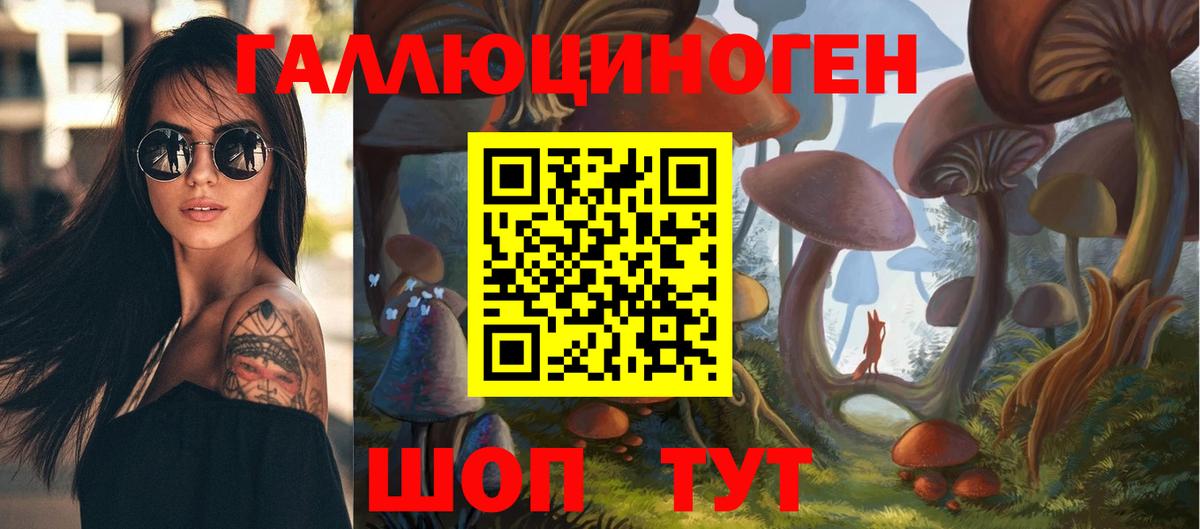 Фрязино  Псилоцибиновые грибы ЛСД  Вход с VPN 