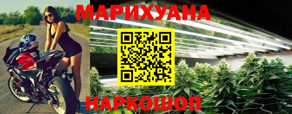 Бошки марихуана семена  Вход с VPN  Марихуана сатива  Бошки Шишки AK-47  Каннабис сатива  Фрязино 